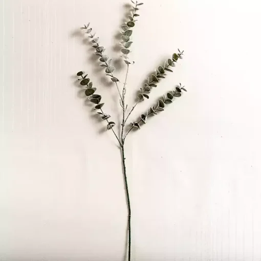 Frosted Spiral Eucalyptus Stem