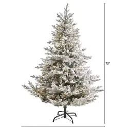 6 ft. Clear Lit Flocked Fraser Fir Christmas Tree