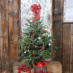 4 ft. Fresh Fraser Fir Christmas Tree with Stand