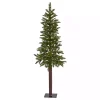 5 ft. Lit Twinkling Alaskan Alpine Christmas Tree