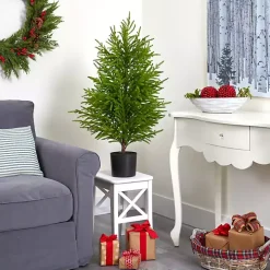 3 ft. Norfolk Island Pine Potted Christmas Tree