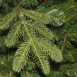 6.5 ft. Pre-Lit Feel Real Norwegian Christmas Tree