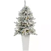 4.5 ft. Pre-Lit Livingston Fir Tree in White Plant
