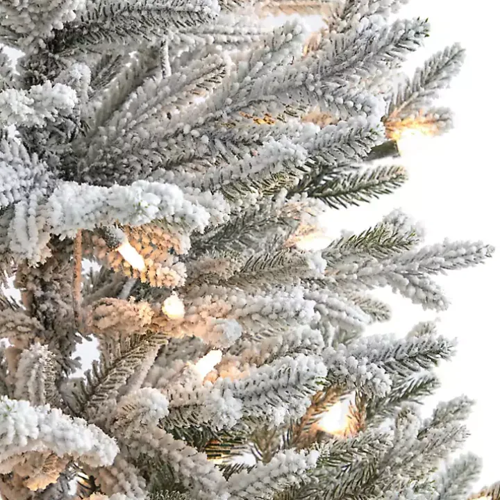 3 ft. White Lit Flocked Fraser Fir Christmas Tree