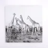 Giraffes in the Wild Canvas Art Print