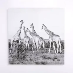 Giraffes in the Wild Canvas Art Print