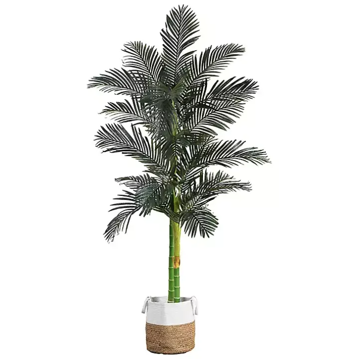 Golden Cane Palm Tree in Woven Planter, 8 ft.