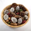 Grand Pine Cone Potpourri