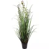 Grass and Eucalyptus Potted Plant
