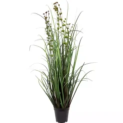 Grass and Eucalyptus Potted Plant