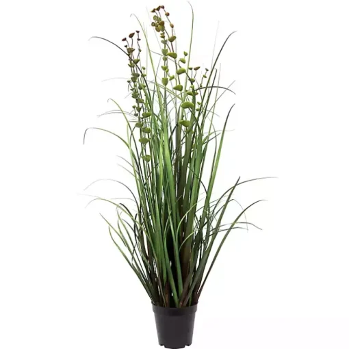 Grass and Eucalyptus Potted Plant