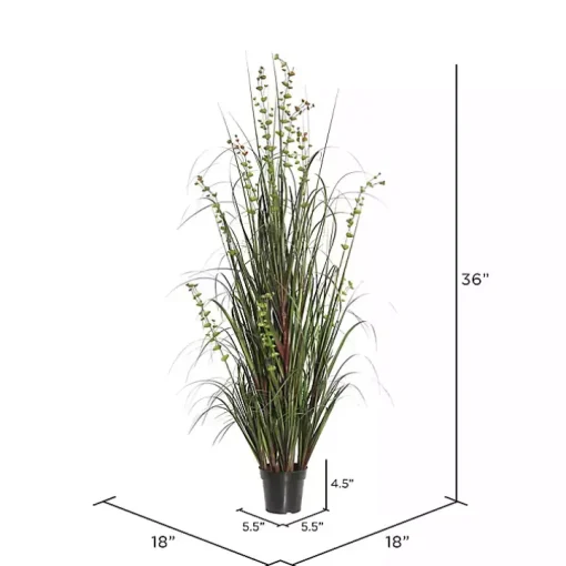 Grass and Eucalyptus Potted Plant