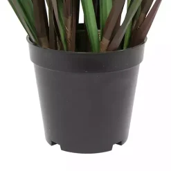 Grass and Eucalyptus Potted Plant