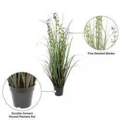 Grass and Eucalyptus Potted Plant