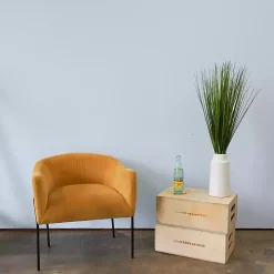 Grass Arrangement in Ringed White Pot, 36 in.