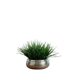 Grass Arrangement in Silver Ceramic Bowl