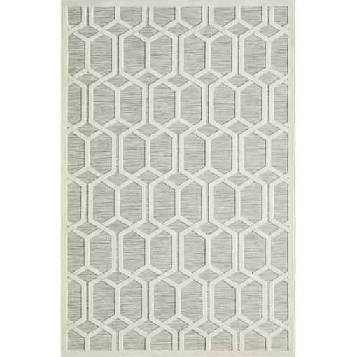 Gray Raised Honeycomb Indoor/Outdoor Area Rug, 7x9