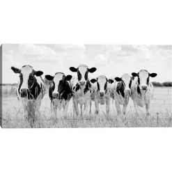 Grazing Cow Monochrome Canvas Art Print, 35x17 in.