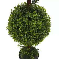 Green Double Ball Boxwood Potted Topiary