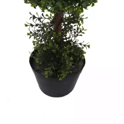 Green Double Ball Boxwood Potted Topiary