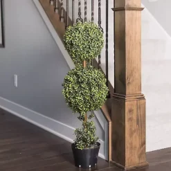 Green Double Ball Boxwood Potted Topiary
