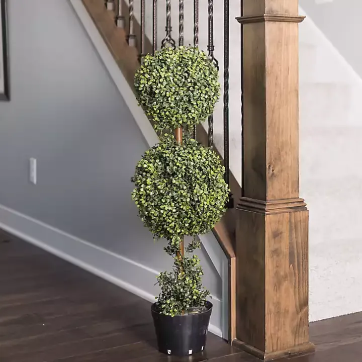 Green Double Ball Boxwood Potted Topiary