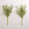 Green Eucalyptus Bundles, Set of 2