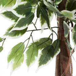 Green Ficus Potted Tree, 73 in.