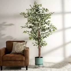 Green Ficus Potted Tree, 73 in.