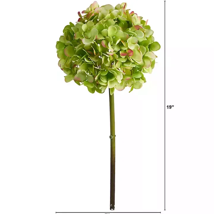 Green Hydrangea Bloom Stems, Set of 3