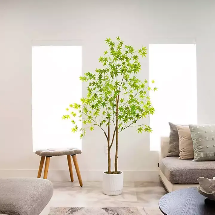 Green Maple Tree in White Planter