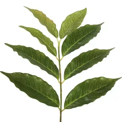 Green Nandina Potted Tree, 4 ft.