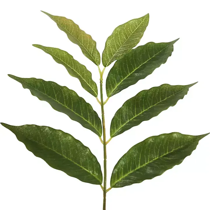 Green Nandina Potted Tree, 4 ft.