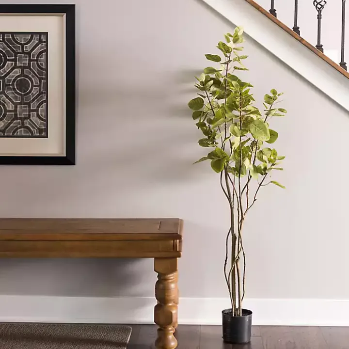 Green Potted Cotinus Coggygria Tree, 4 ft.