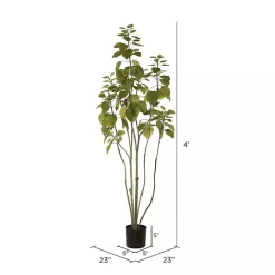 Green Potted Cotinus Coggygria Tree, 4 ft.