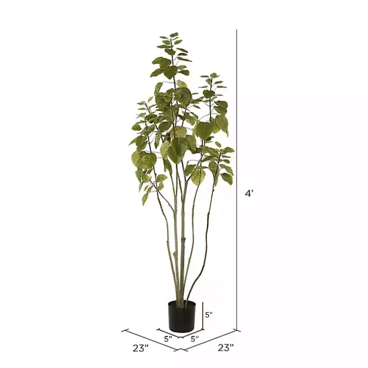 Green Potted Cotinus Coggygria Tree, 4 ft.