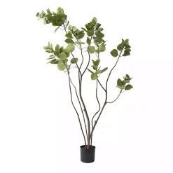 Green Potted Cotinus Coggygria Tree, 4 ft.