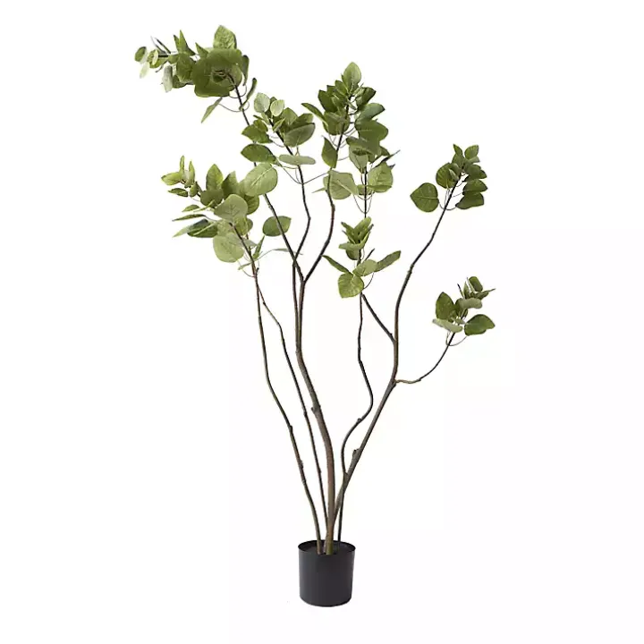 Green Potted Cotinus Coggygria Tree, 4 ft.