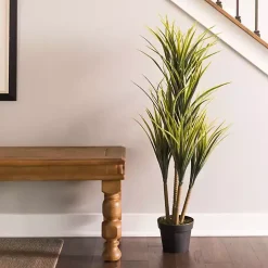Green Yucca Tree in Black Planter