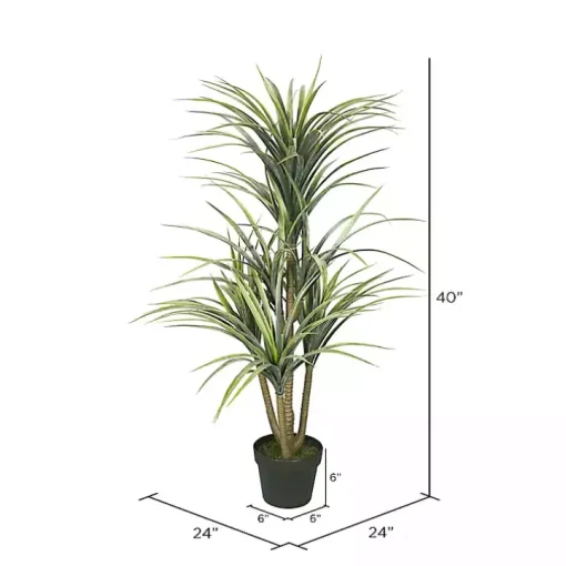 Green Yucca Tree in Black Planter