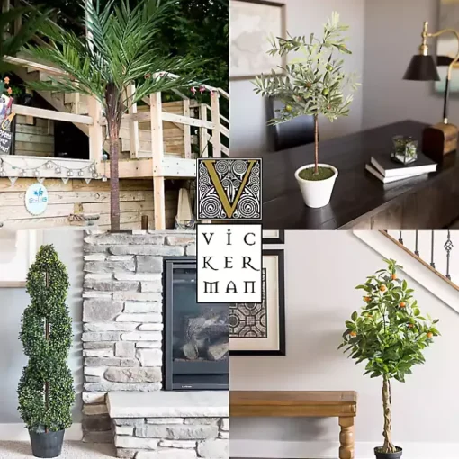 Green Yucca Tree in Black Planter