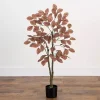Harvest Dogwood Tree in Nursery Planter, 3.5 ft.