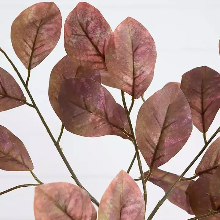 Harvest Dogwood Tree in Nursery Planter, 6 ft.