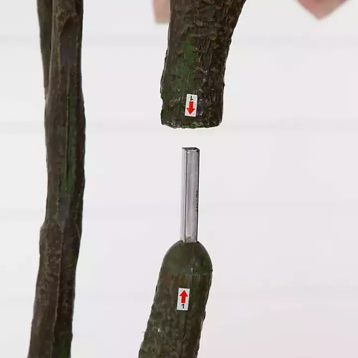 Harvest Dogwood Tree in Nursery Planter, 6 ft.