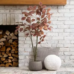 Harvest Dogwood Tree in Nursery Planter, 3.5 ft.