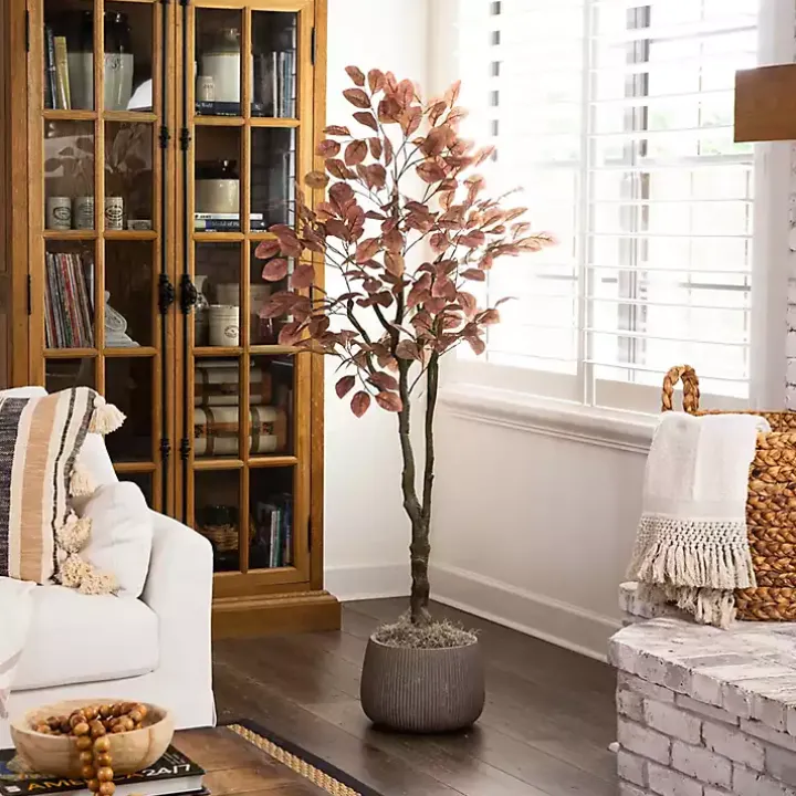 Harvest Dogwood Tree in Nursery Planter, 6 ft.