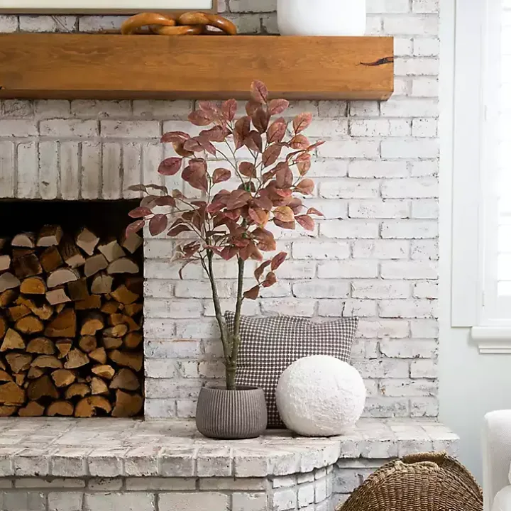 Harvest Dogwood Tree in Nursery Planter, 3.5 ft.