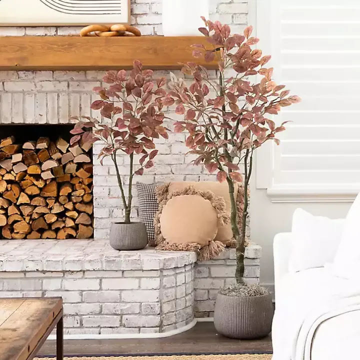 Harvest Dogwood Tree in Nursery Planter, 6 ft.