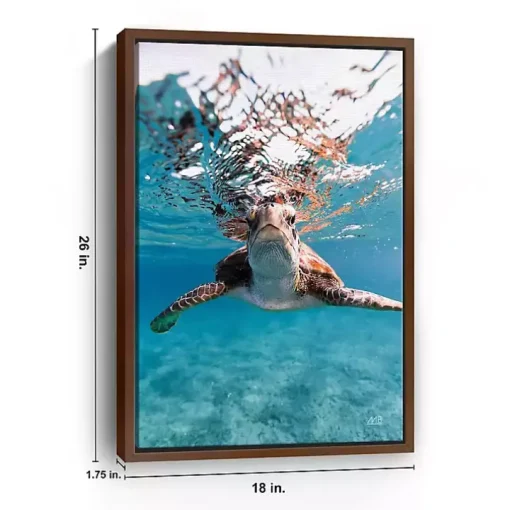 Hello Turtle Framed Canvas Art Print