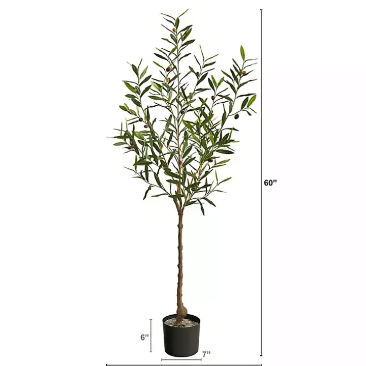 Italian Olive Tree in Black Nursery Planter, 5 ft.
